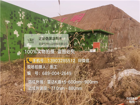 岳阳星空迷彩墙施工队