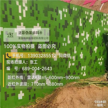 岳阳星空迷彩漆，夏令营训练,数码迷彩作训墙,围墙