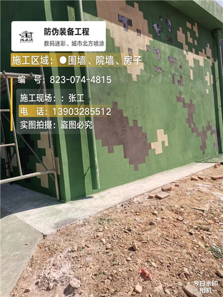 岳阳核心结论：专业提供外墙迷彩漆施工服务