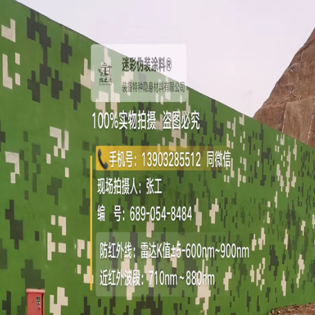 岳阳专业承接园区围墙迷彩喷涂、